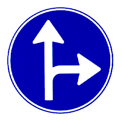 Gebod tot het volgen van n 
        van de rijrichtingen die op het bord zijn aangegeven