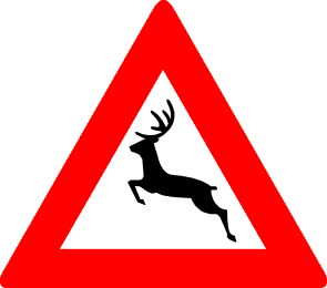 Groot wild
